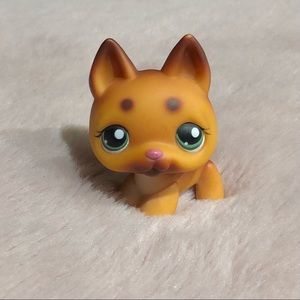 Littlest Pet Shop #357
